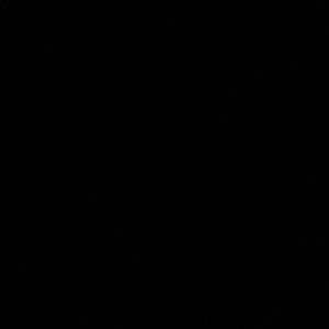 Meet your Posher, Nicholas